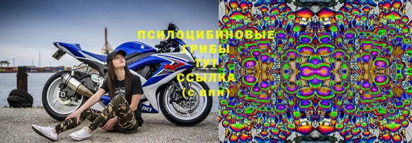 индика Гусь-Хрустальный