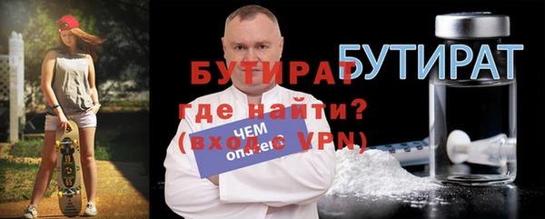 индика Гусь-Хрустальный