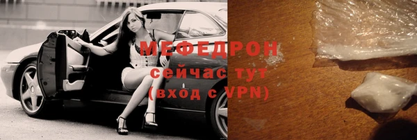 индика Гусь-Хрустальный