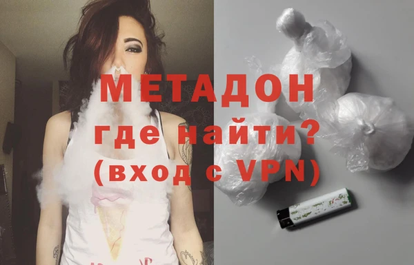 индика Гусь-Хрустальный