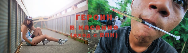 индика Гусь-Хрустальный