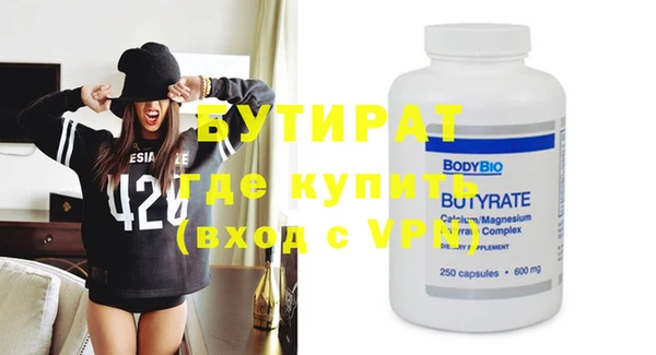 индика Гусь-Хрустальный