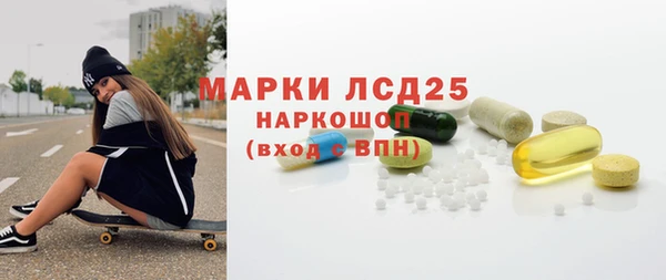 индика Гусь-Хрустальный