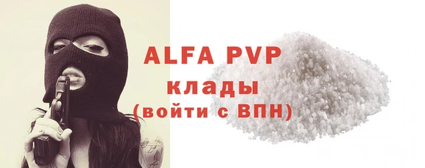 индика Гусь-Хрустальный