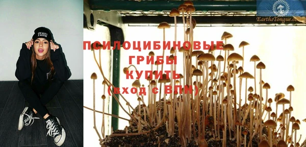 спайс Гусев