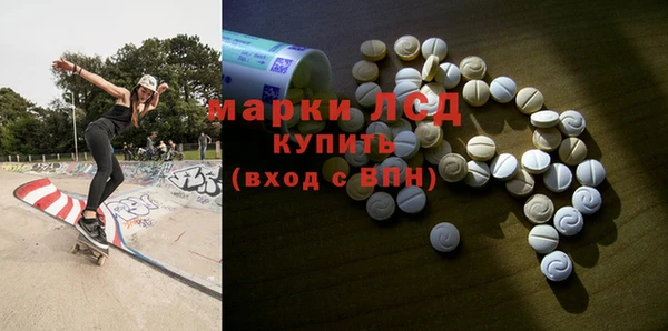 индика Гусь-Хрустальный
