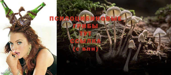 MESCALINE Гусиноозёрск