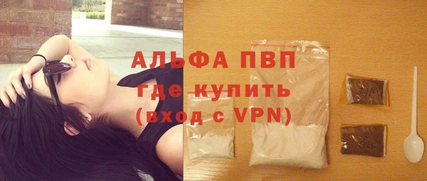 индика Гусь-Хрустальный