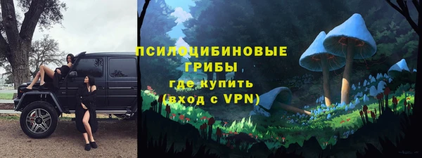 индика Гусь-Хрустальный