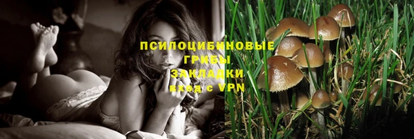 спайс Гусев