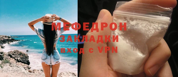 индика Гусь-Хрустальный