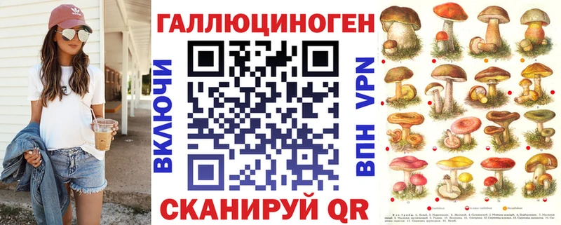 Галлюциногенные грибы Psilocybe  Нальчик 